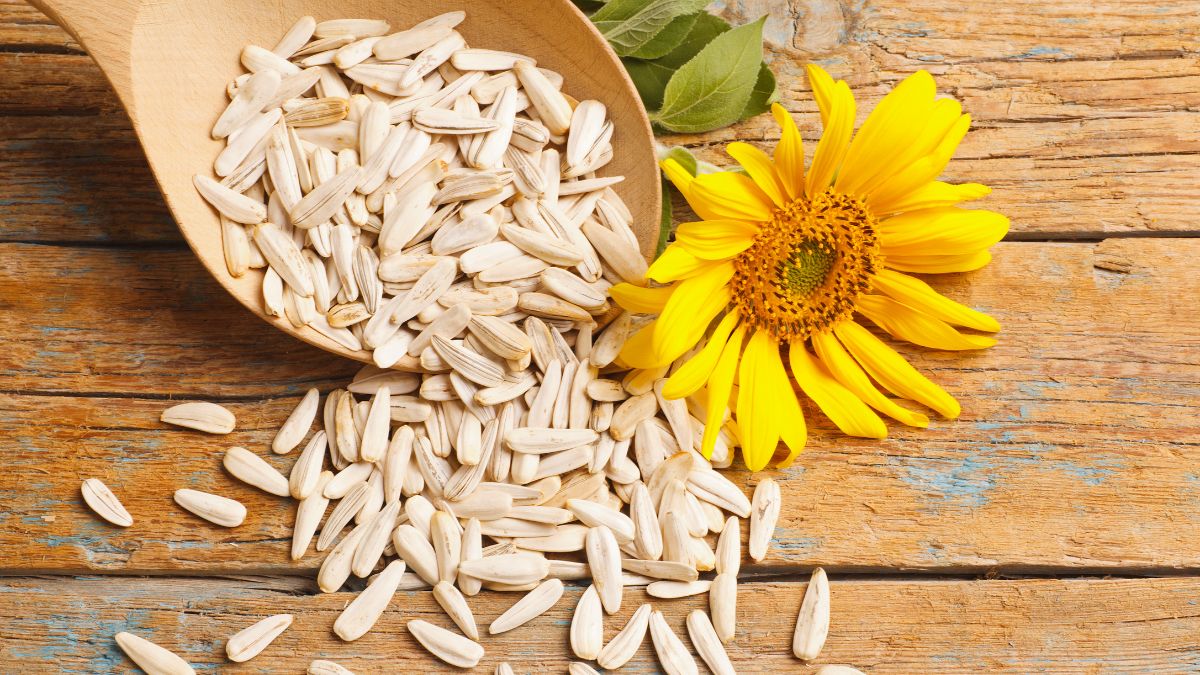 6 Benefits Of Adding Sunflower Seeds Into Your Morning Routine
